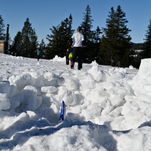 <img alt="" src="/images/d/0/b/5/f/d0b5f2287acb525839447a637a2f7912d6a6ce87-schneetag2024-11-von-43.jpg?alt" />