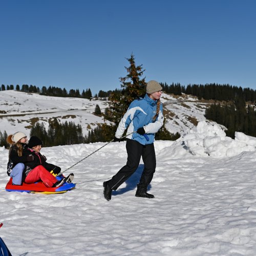 <img alt="" src="/images/b/5/b/f/5/b5bf5d90ab675ebb52b85fccd605d59c5d0d7f5c-schneetag2024-13-von-43.jpg?alt" />